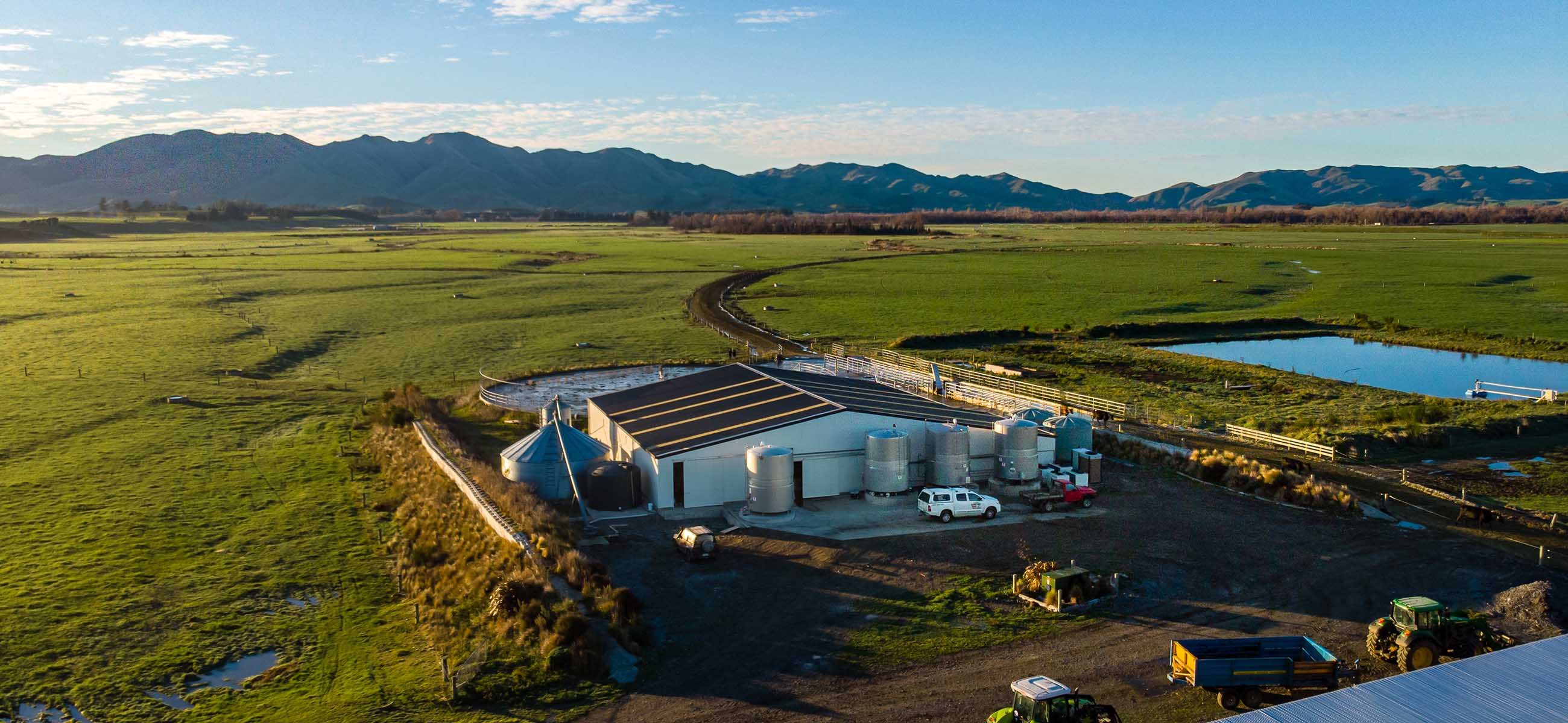 farm buildings nz, cow shed, milking station