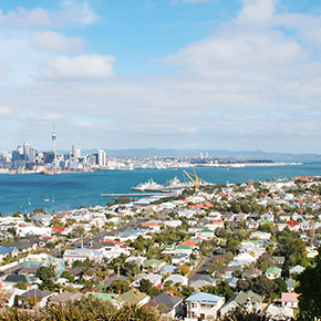 North-Shore-Auckland-img